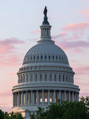 US Capitol 